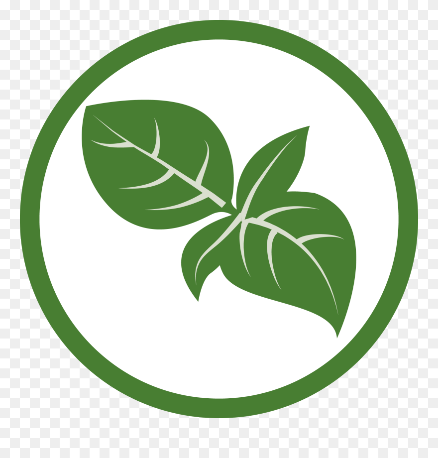 Clip Art - Png Download