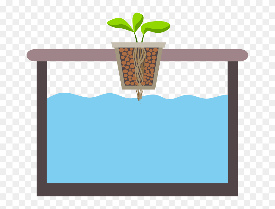 Kratky Method Clipart