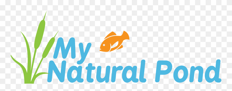 My Natural Pond - Goldfish Clipart