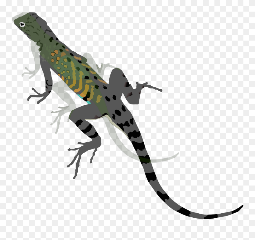 Green Black Lizard Svg Clip Arts - Lizard Clipart - Png Download