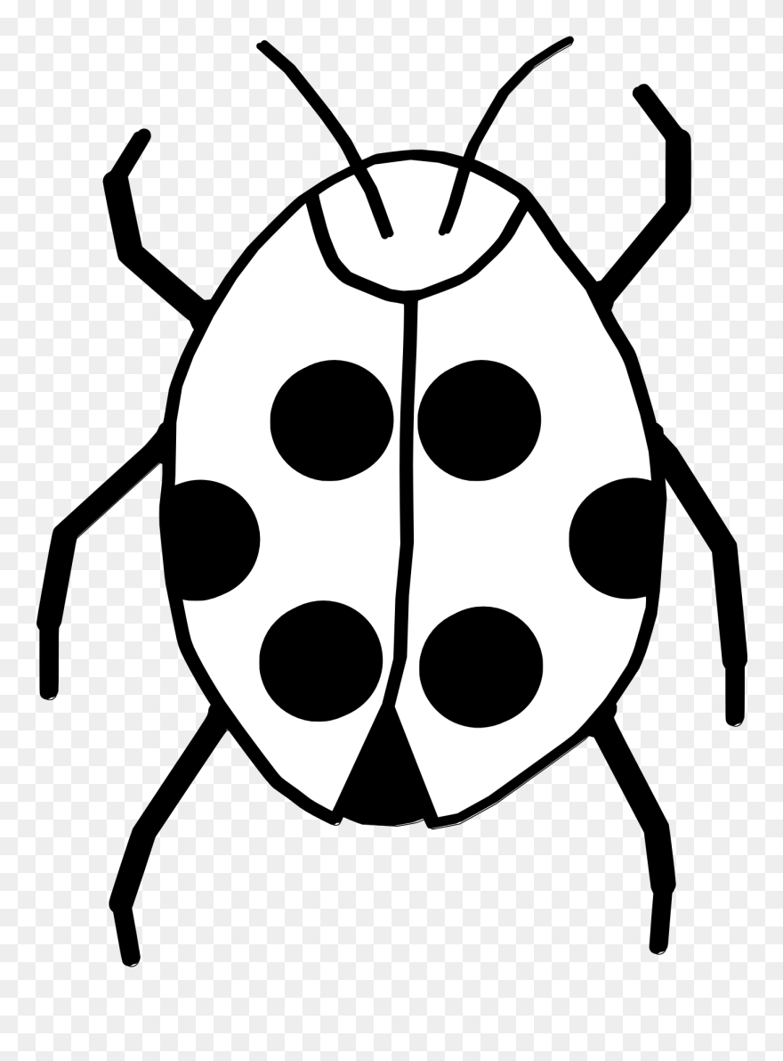 Transparent Insects Clipart - Bug Clipart Black And White Transparent - Png Download
