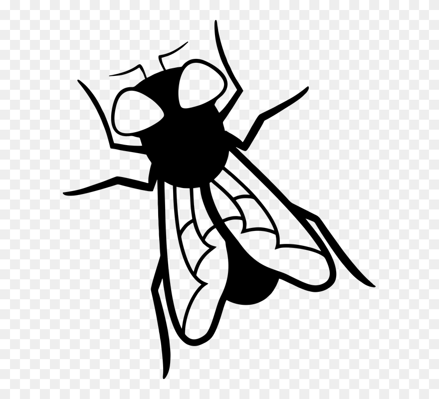 Clip Art - Png Download