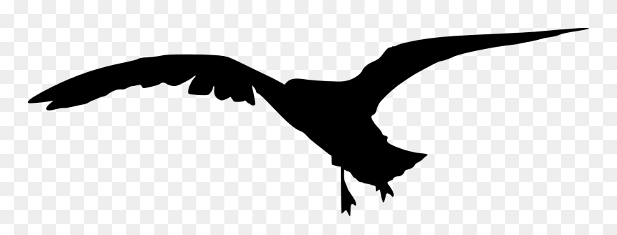 15 Bird Silhouette - Portable Network Graphics Clipart