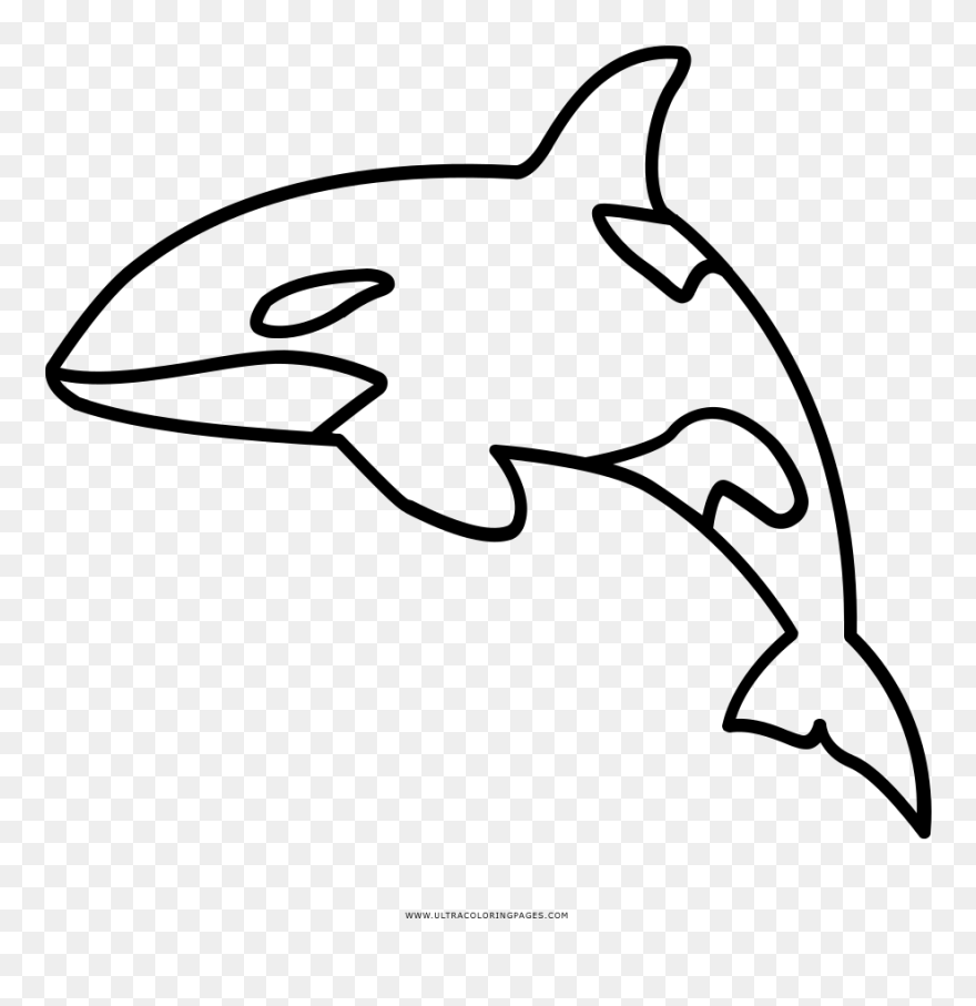 Outline Of An Orca Clipart
