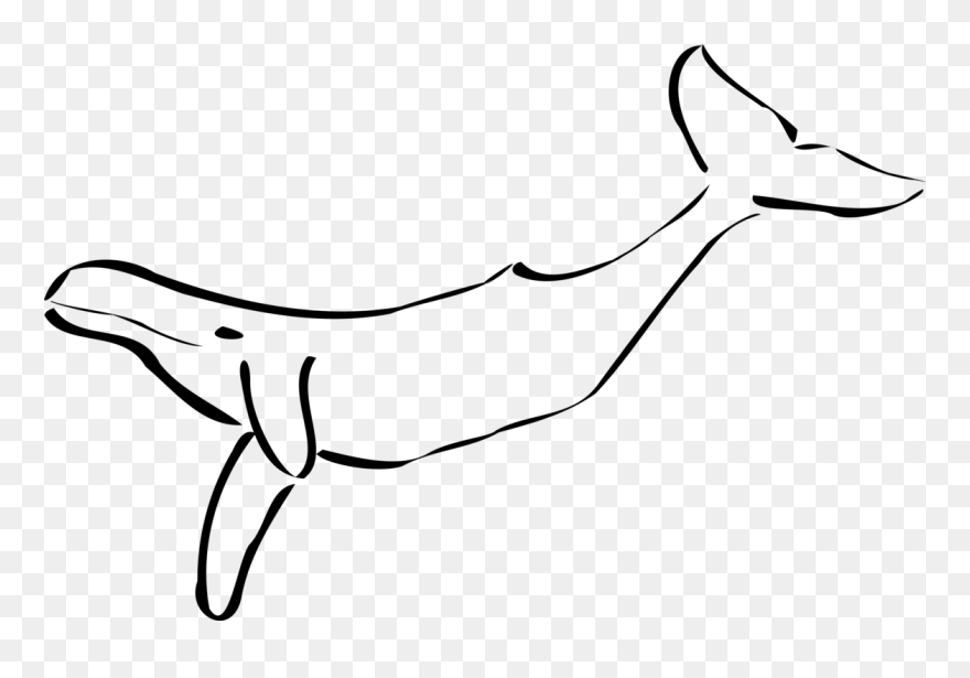 Monochrome Photography,fish,shoe - Black And White Whale Clipart - Png Download