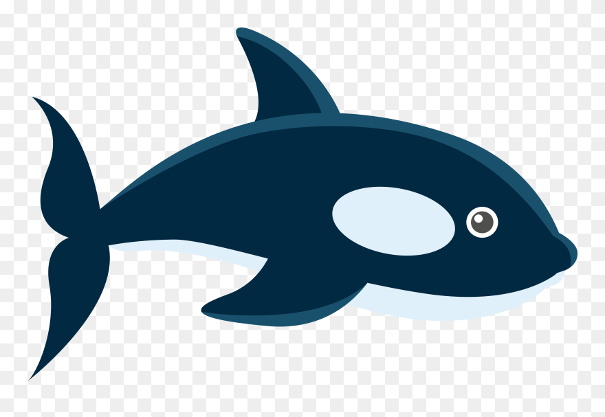 Transparent Whale Marine Biology - Imagenes De Ballenas Animadas Clipart