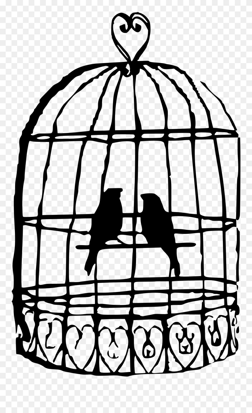 Birds In Cage Drawing Clipart
