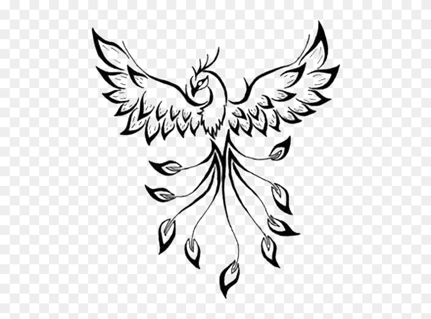 Tattoo Phoenix Flash Drawing Image - Phoenix Tattoo Outline Clipart