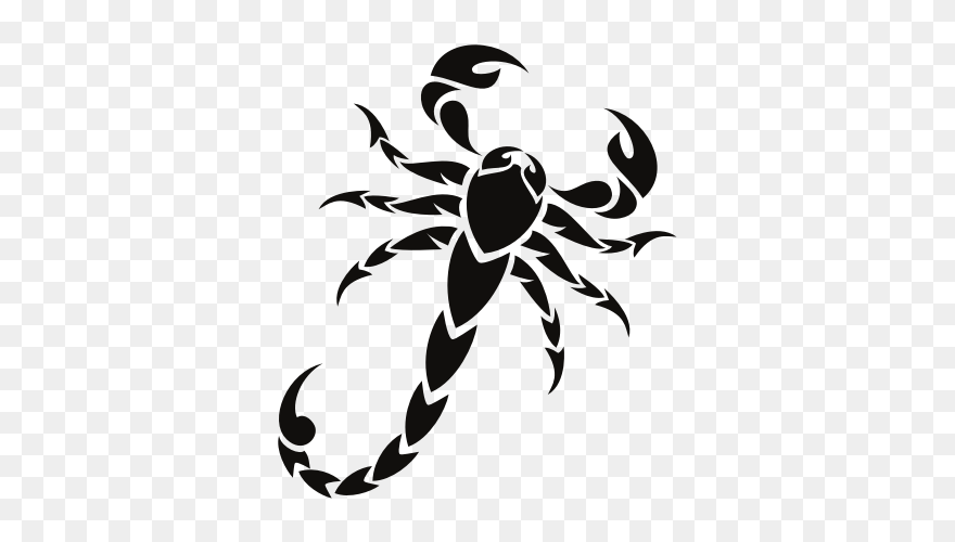 Scorpion Clip Art Graphics - Scorpion Icon - Png Download