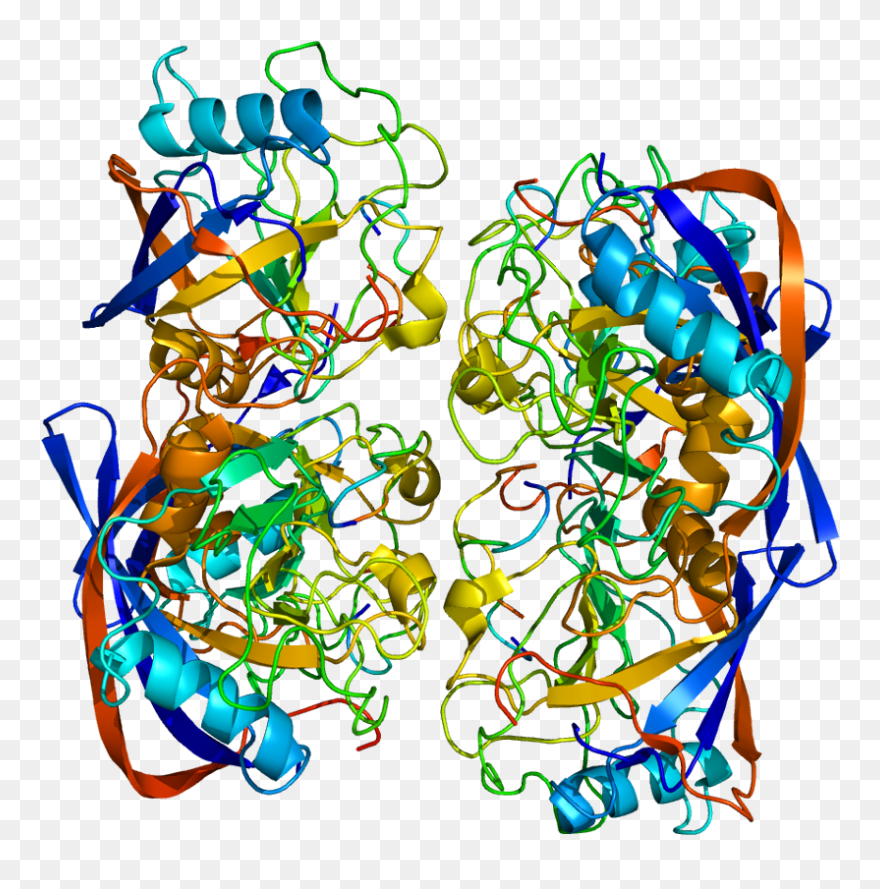Protein Ppic Pdb 2esl Clipart