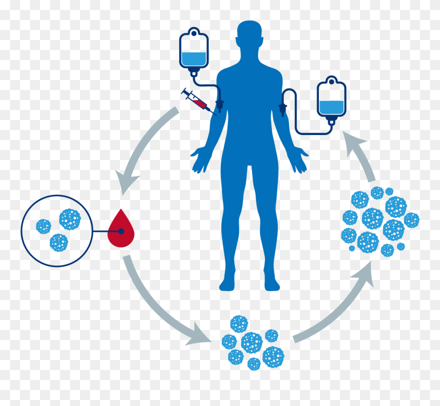 Illustration Clipart