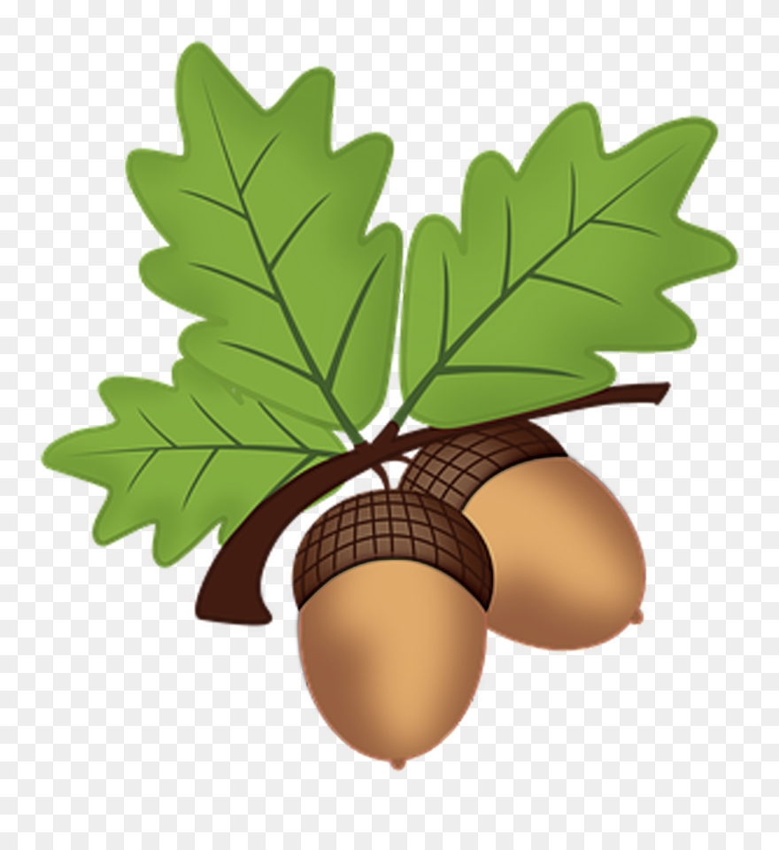 Silhouette Of A Oak Tree Leaves Clipart