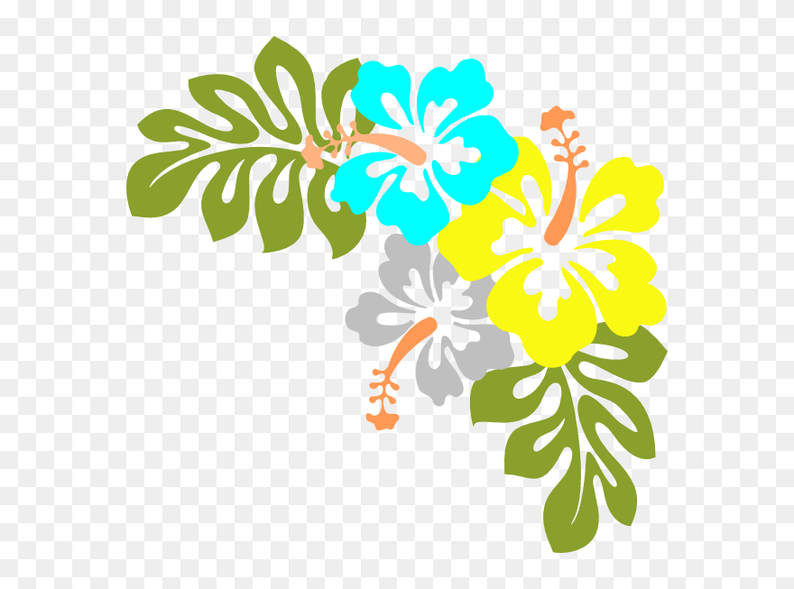 Hawaiian Flowers Transparent Background Clipart