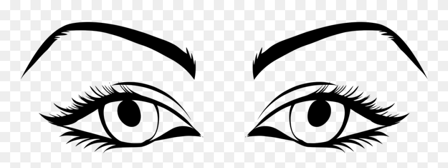 Coyote Clipart Eye - Eyes In Line Drawing - Png Download