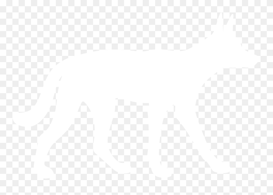 Coyote Clipart Dingo Australian - Dingo Silhouette - Png Download