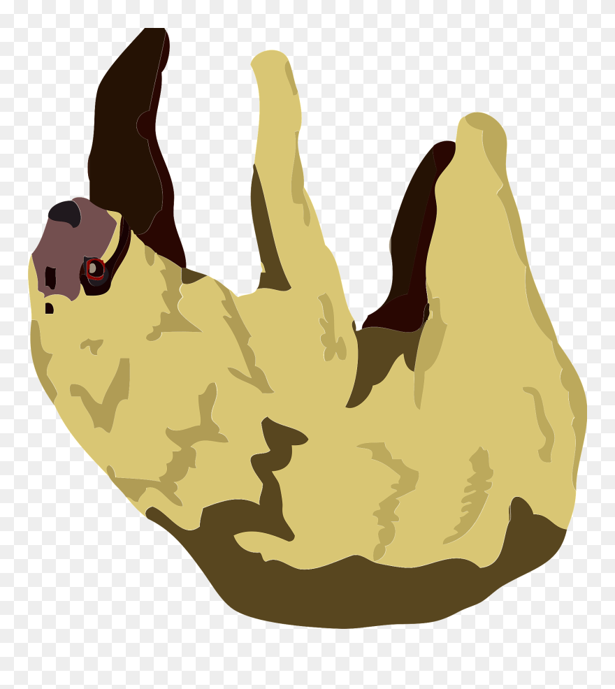 Clip Art - Png Download