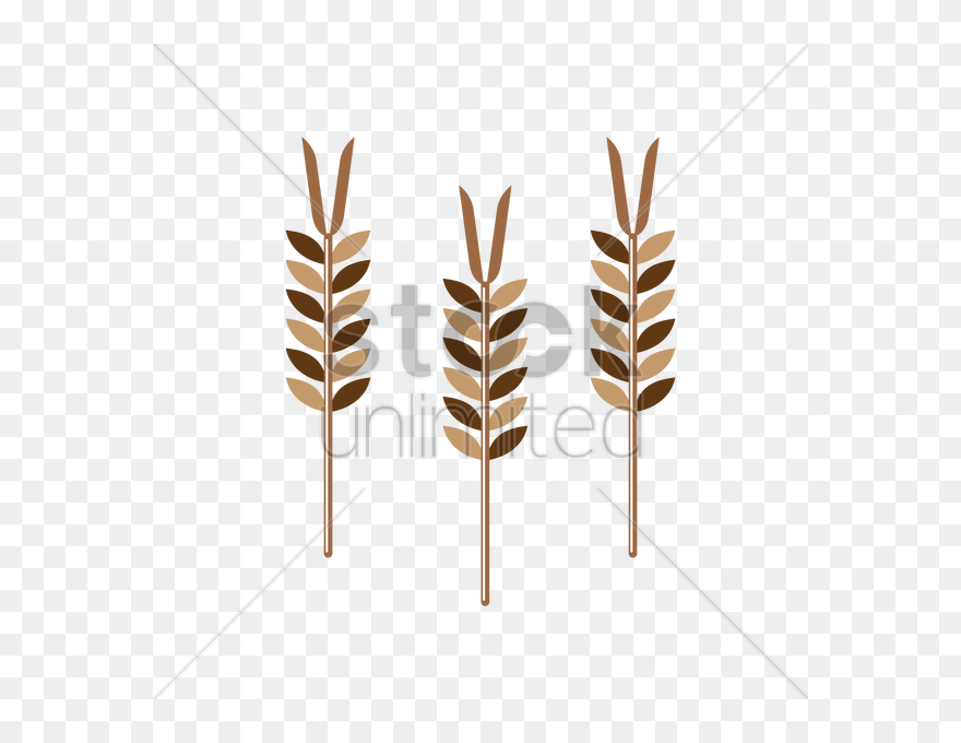 Cereal Clipart Wheat Stalk For Free Download And Use - Illustration - Png Download
