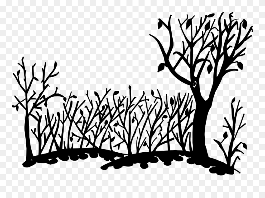 Nature Background Silhouette Png - Nature Background Line Drawing Clipart