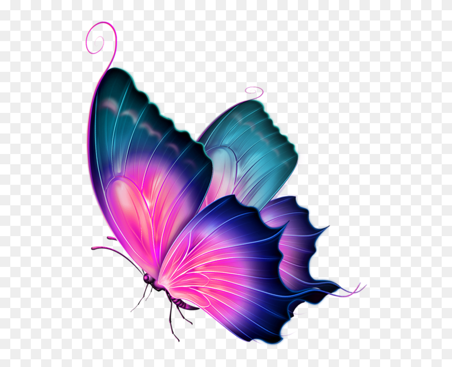 Clip Art Transprent Png - Butterfly Images For Editing Transparent Png