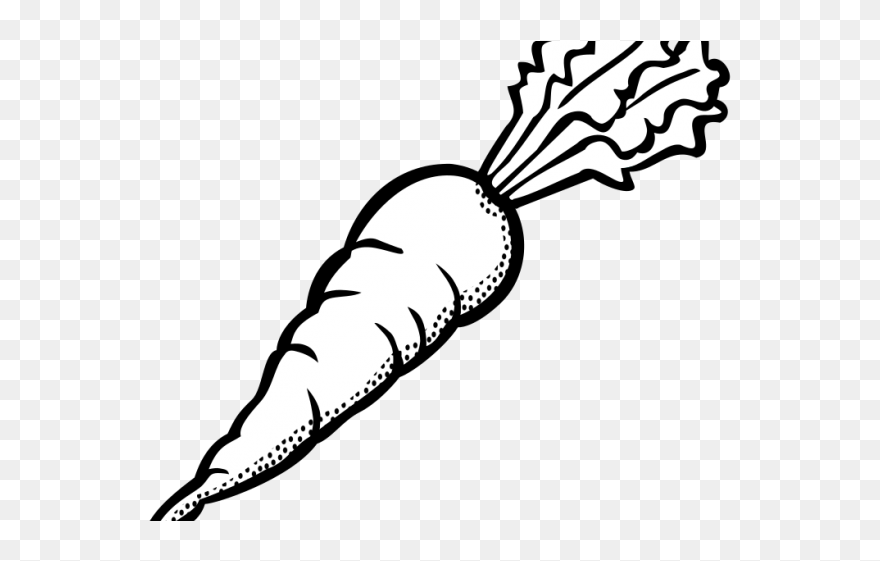Carrot Black And White Clipart