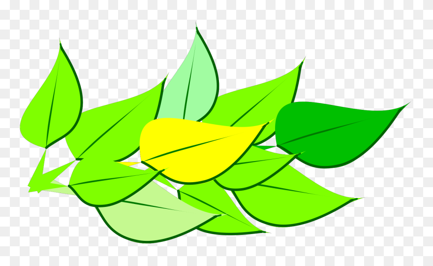 Clip Art - Png Download