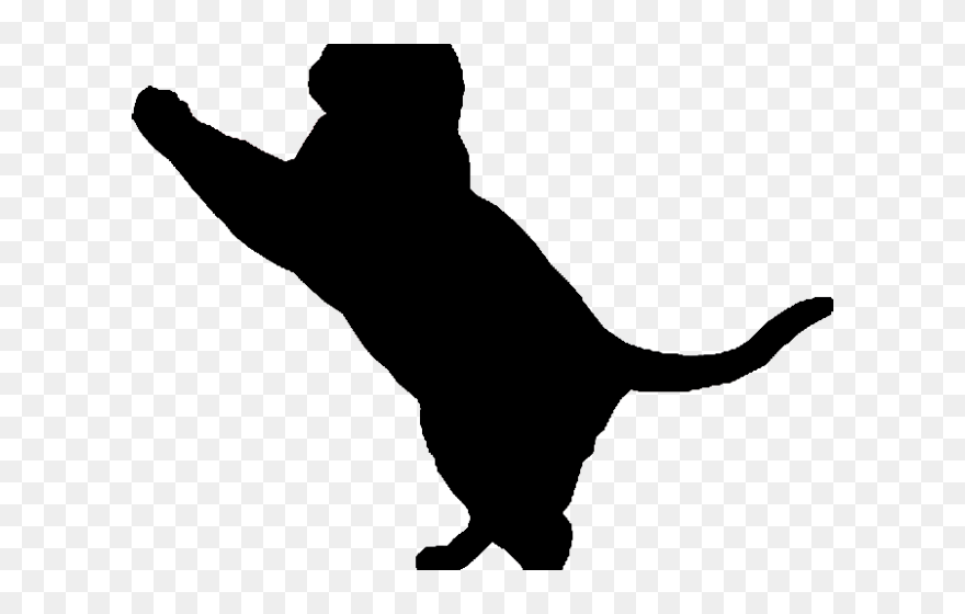 Transparent Cat Silhouette Png - Transparent Background Animal Silhouettes Png Clipart