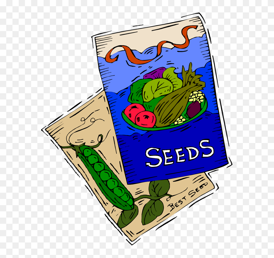 Vegetable Seeds Cartoon Clipart