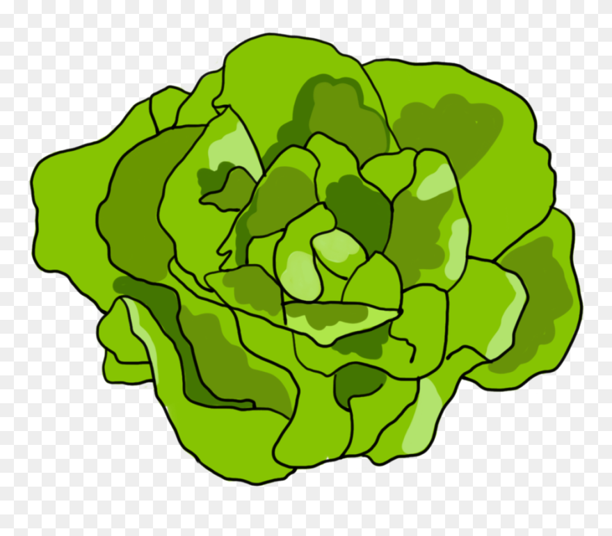 Img-1013 - Cauliflower Clipart