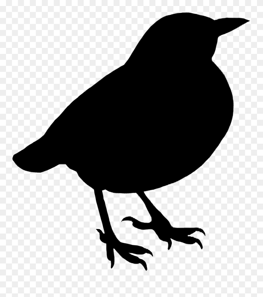 Bird Silhouette Drawing Clip Art - White Bird Silhouette With No Background - Png Download