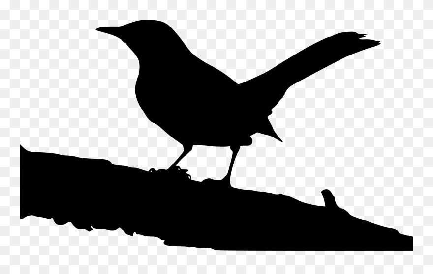 Mockingbird Clipart Color - Mockingbird Clipart - Png Download