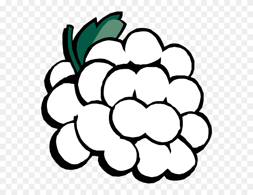 Grapes Black And White Clipar - Black And White Grape Clipart - Png Download