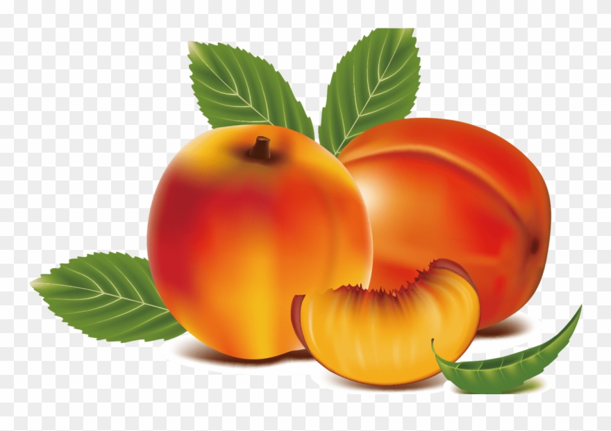 Peach Clipart Apricot Free Clipart On Dumielauxepicesnet - Ảnh Hoa Quả - Png Download