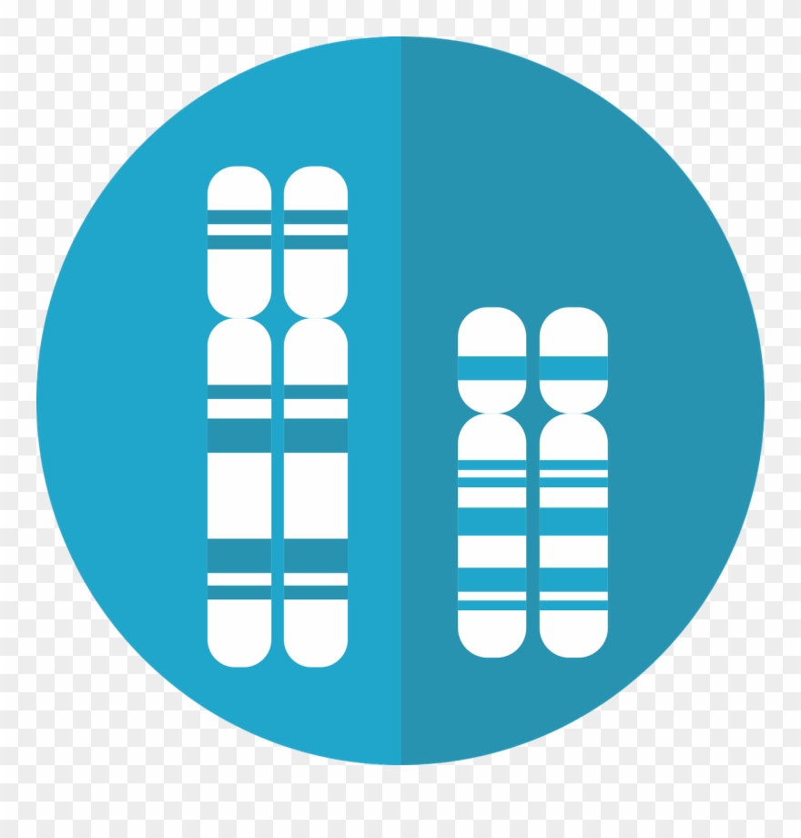 0 Replies 0 Retweets 0 Likes - Chromosome Graphic Clipart