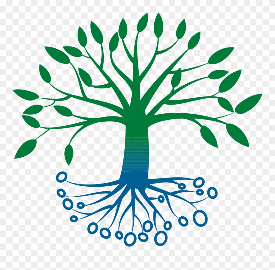Tree Vector Bw Png Clipart