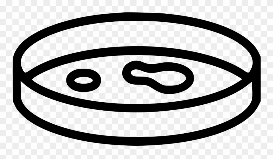 Petri Dish Clip Art - Us Steel Kosice Logo - Png Download