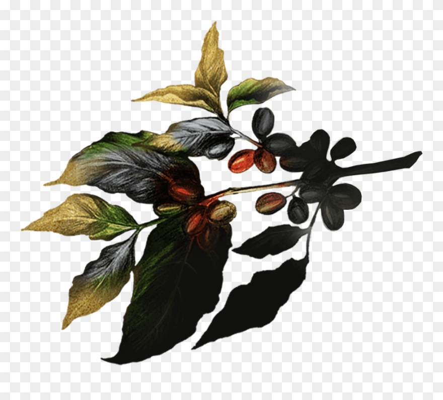 From The First Wake-up Cup Of The Morning To Our Desserts - Illustration Clipart