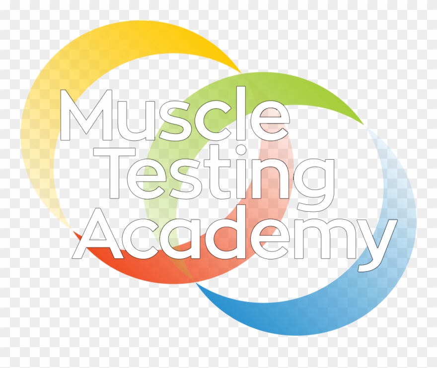 Muscle Testing Academy Personal - Testing Academy Clipart
