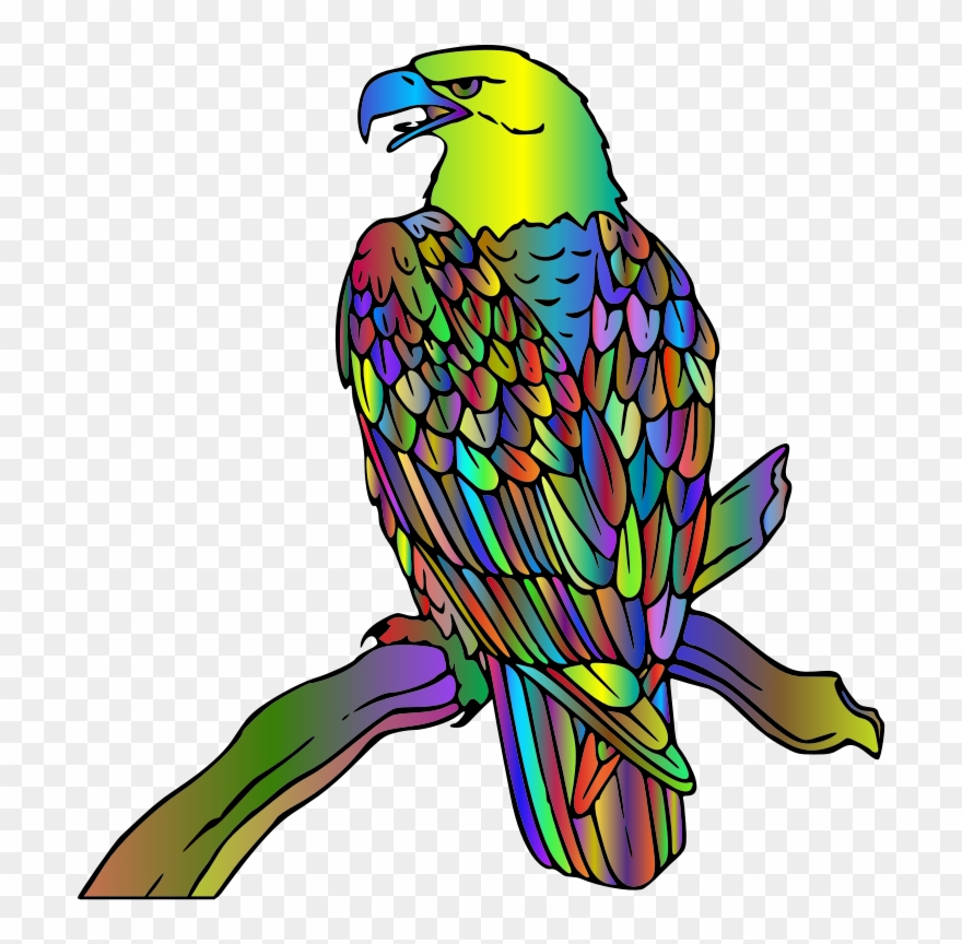 By Gdj - Bald Eagle Clipart