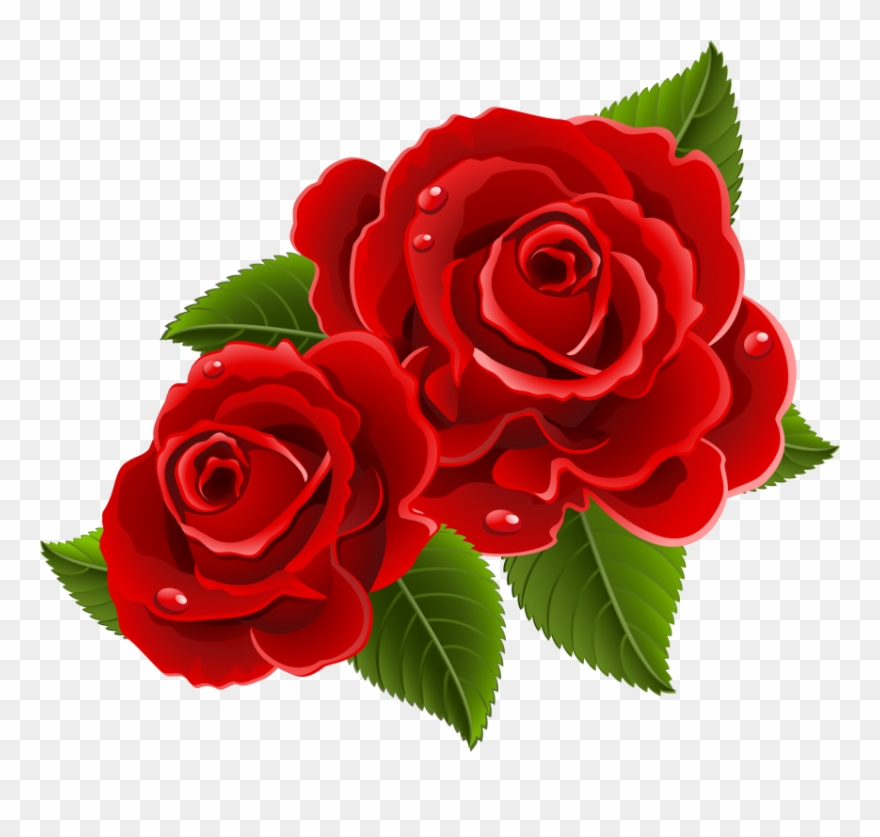 Picture Black And White Download Beauty Beast Rose - Beautiful Rose Flowers Clipart