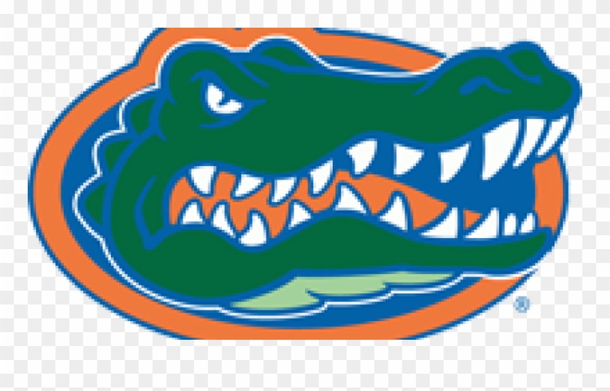 Codes For Insertion - Florida Gators Breast Cancer Clipart