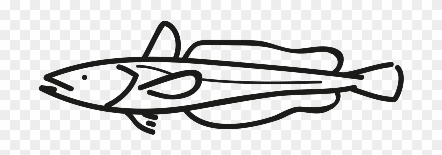 Cape Hake / South African Hake Clipart