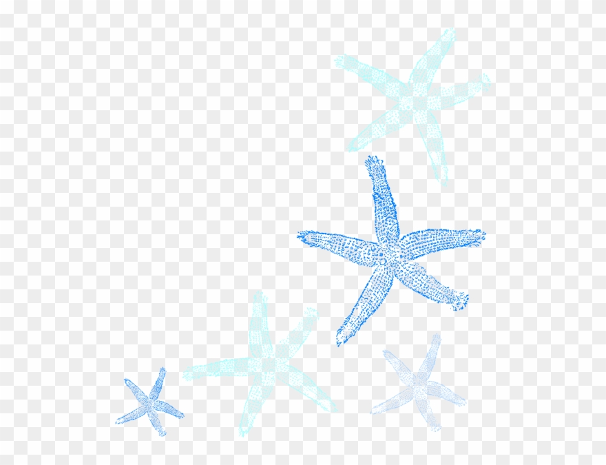 Starfish Prints Svg Clip Arts 546 X 595 Px - Png Download