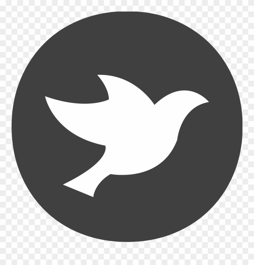 Plpa Webinar November - Star Icon Black And White Clipart