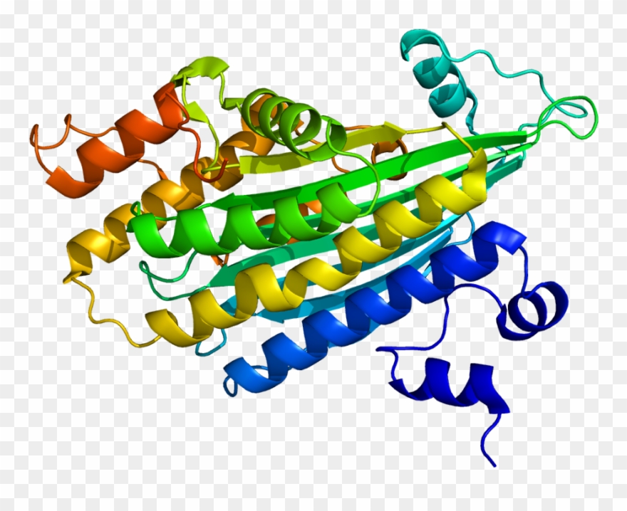 Coproporphyrinogen Iii Oxidase Clipart