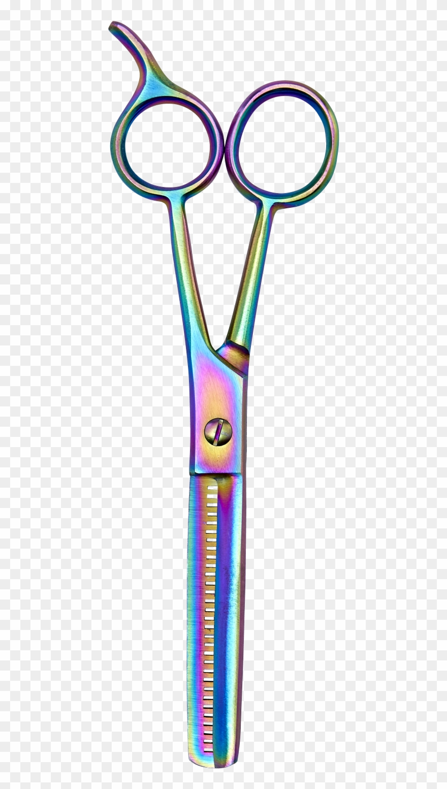 Clip Art - Png Download