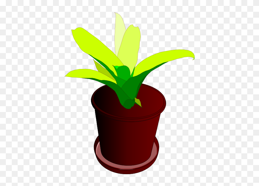 Plant,pot,flower Pot,plant Pot,green,free Vector Graphics - Desenho De Vaso De Plantas Clipart