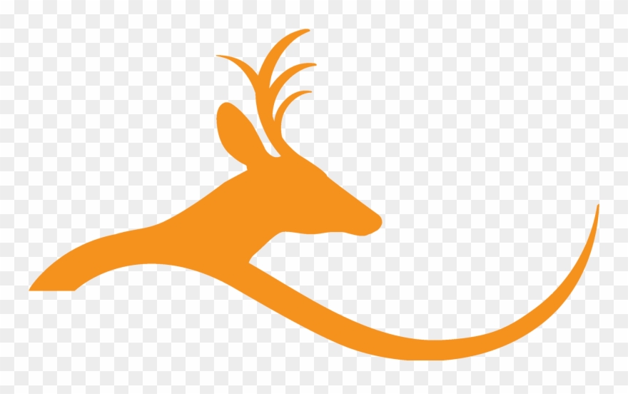 Deer Hill Expeditions - Deer On Hill Clipart