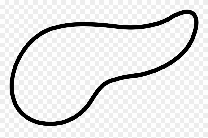 Pancreas By Margo Hurst From The Noun Project - Line Art Clipart