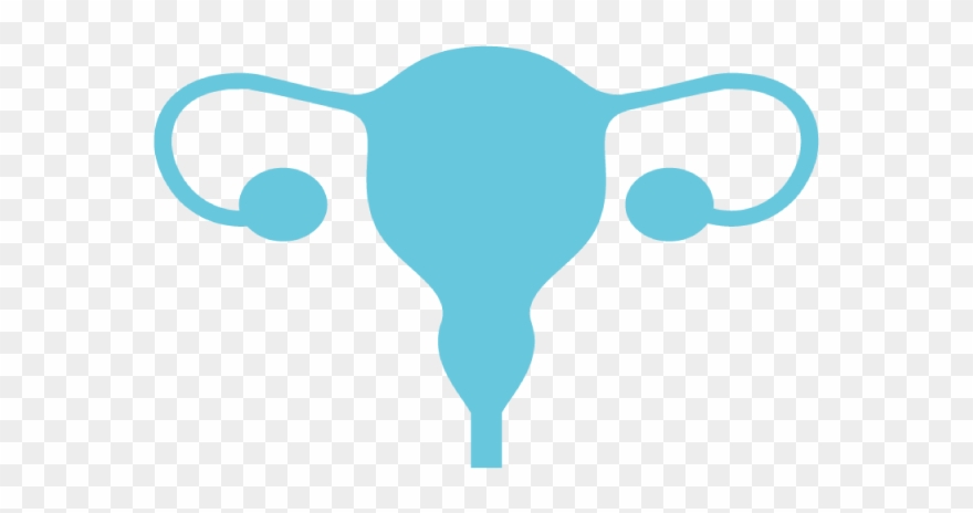 Women S Health Concerns - Uterus Clipart