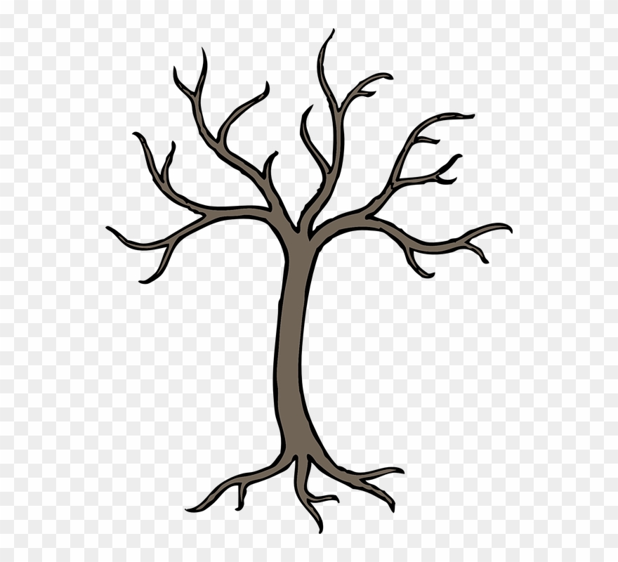 Tree, Winter, Grey, Perennial, Dried, No Leaves - Branches On A Tree Clipart